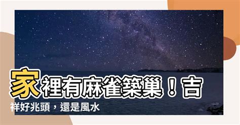 家中有鳥築巢 風水|【家裡有鳥築巢】鳥巢報喜！1個跡象代表家宅運勢大。